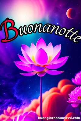 buonanotte originalissima buonanotte originalissima