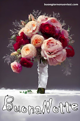buonanotte originalissima buonanotte originalissima