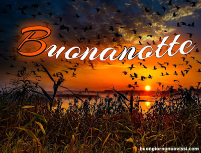 buonanotte originalissima buonanotte originalissima