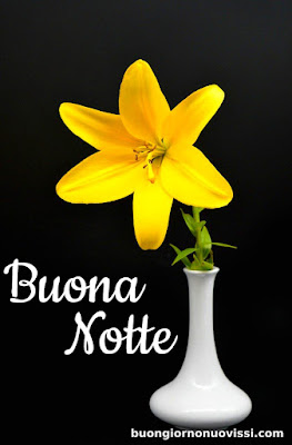buonanotte originalissima buonanotte originalissima
