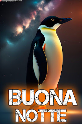 buonanotte originalissima buonanotte originalissima