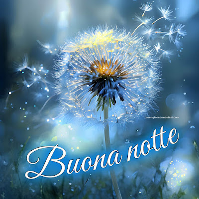 buonanotte sogni belli
