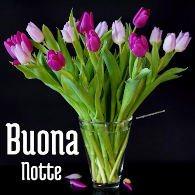 buonanotte sogni belli