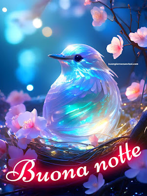 buonanotte sogni belli