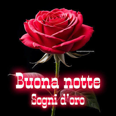 buonanotte sogni belli