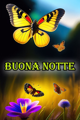 buonanottefotos203