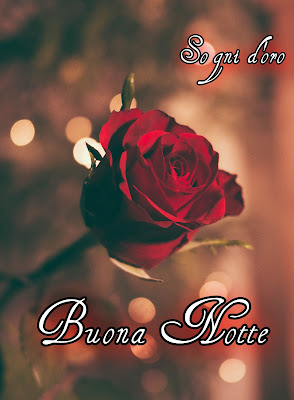 buonanottefotos2042