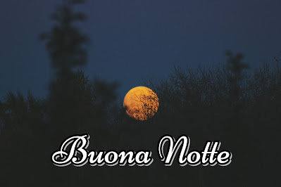buonanottefotos2044