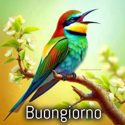 buongiorno amore mio nuove