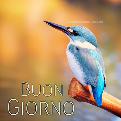 buongiorno amore mio nuove