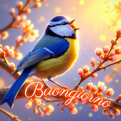 buongiorno amore mio nuove