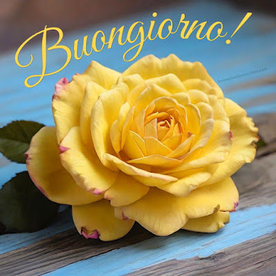 buongiorno amore mio nuove