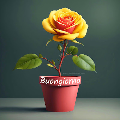 buongiorno amore mio nuove