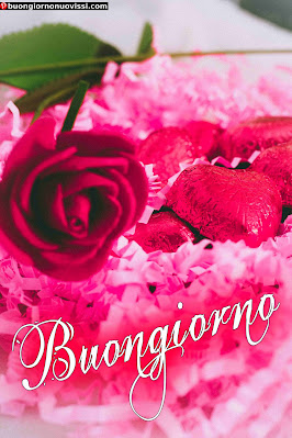 Buongiorno Immagini Nuove Sempre Aggiornate