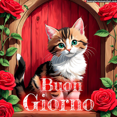 Buongiorno Immagini Nuove Sempre Aggiornate