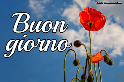 Buongiorno Immagini Nuove Sempre Aggiornate