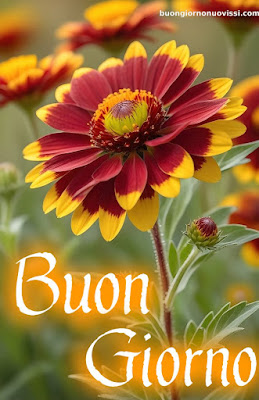 Buongiorno Immagini Nuove Sempre Aggiornate