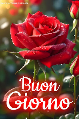 Buongiorno Immagini Nuove Sempre Aggiornate