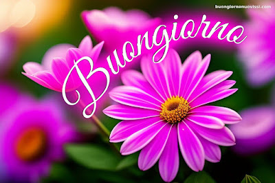 Buongiorno Immagini Nuove Sempre Aggiornate