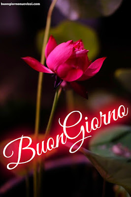buongiorno immagini nuove