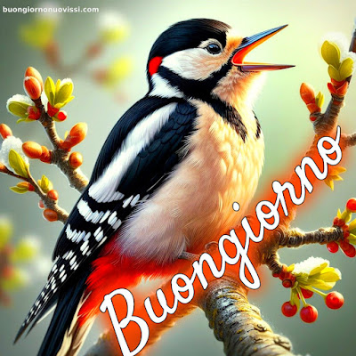 buongiorno immagini nuove