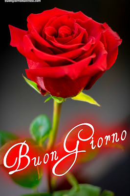 buongiorno immagini nuove