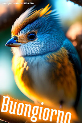 buongiorno immagini