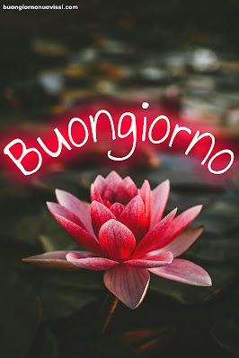 buongiorno immagini