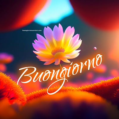 buongiorno inverno immagini nuove