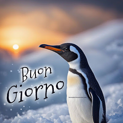 buongiorno inverno immagini nuove