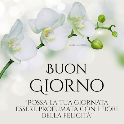 buongiorno inverno immagini nuove