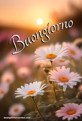 buongiorno nuovissimi 2024