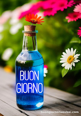 buongiorno nuovissimi 2024