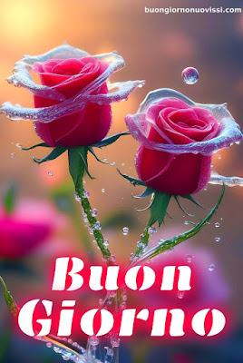 buongiorno nuovissimi 2024