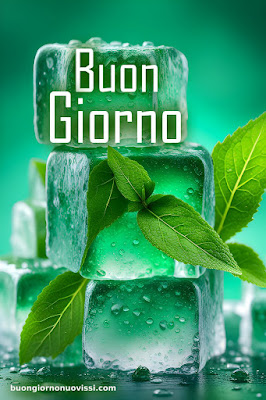 buongiorno nuovissimi 2024