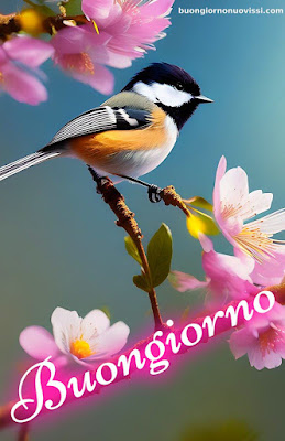 buongiorno nuovissimi 2024