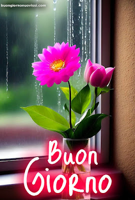 buongiorno nuovissimi 2024