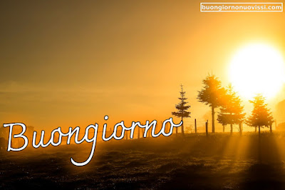 buongiorno nuovissimi