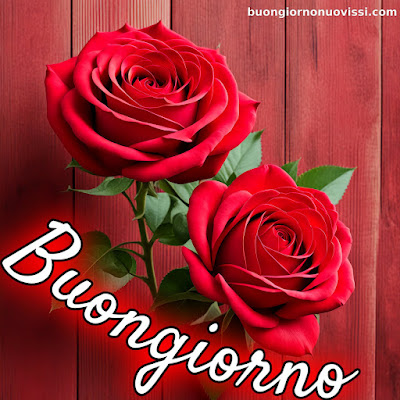 buongiorno nuovissimi