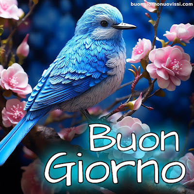 buongiorno nuovissimi
