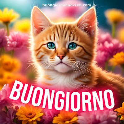 buongiorno nuovissimi