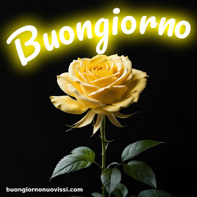 buongiorno nuovissimi