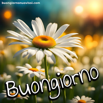 buongiorno nuovissimi