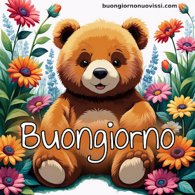 buongiorno nuovissimi