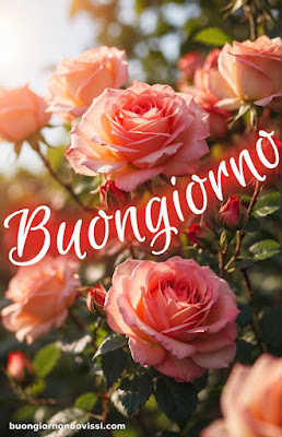 buongiorno nuovissimi