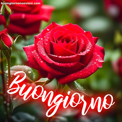 buongiorno nuovissimi