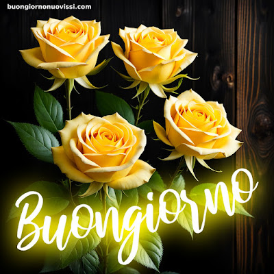 buongiorno nuovissimi