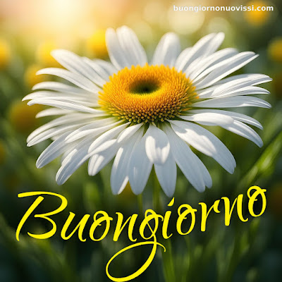 buongiorno nuovissimi