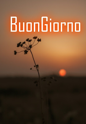 divertente meraviglioso divertente buongiorno immagini recenti