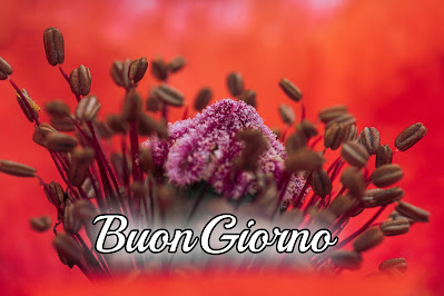 divertente meraviglioso divertente buongiorno immagini recenti